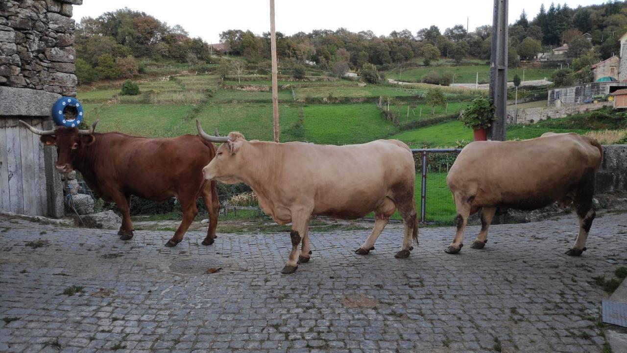 הוילה Outeiro  Pe Na Aldeia מראה חיצוני תמונה
